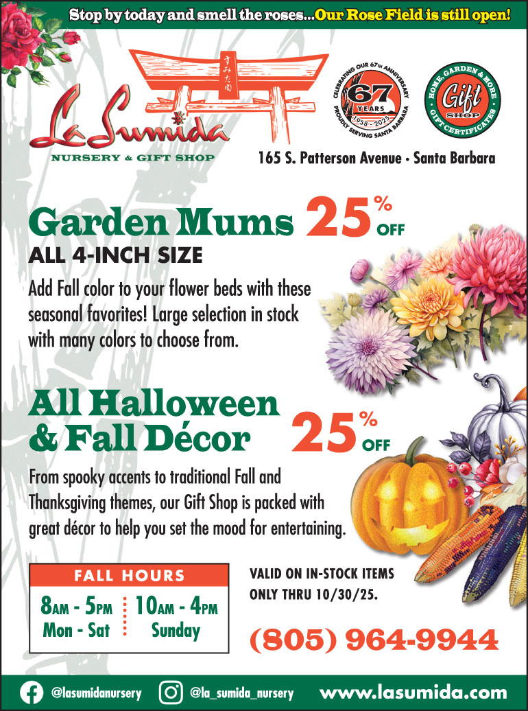 Garden Mums, Halloween & Fall Décor on sale at La Sumida Nursery through 10/30/25