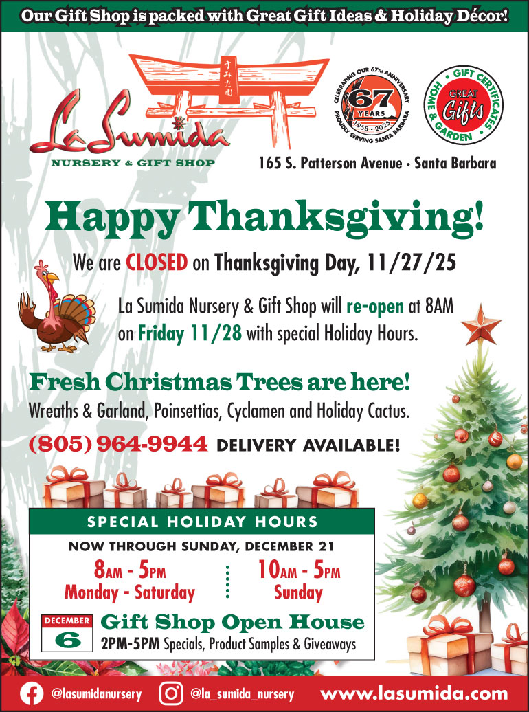 Happy Thanksgiving from La Sumida Nursery - Christmas Trees are Here!