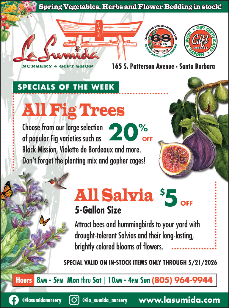 Fig Trees and Salvia on sale at La Sumida Nursery through May 21, 2026
